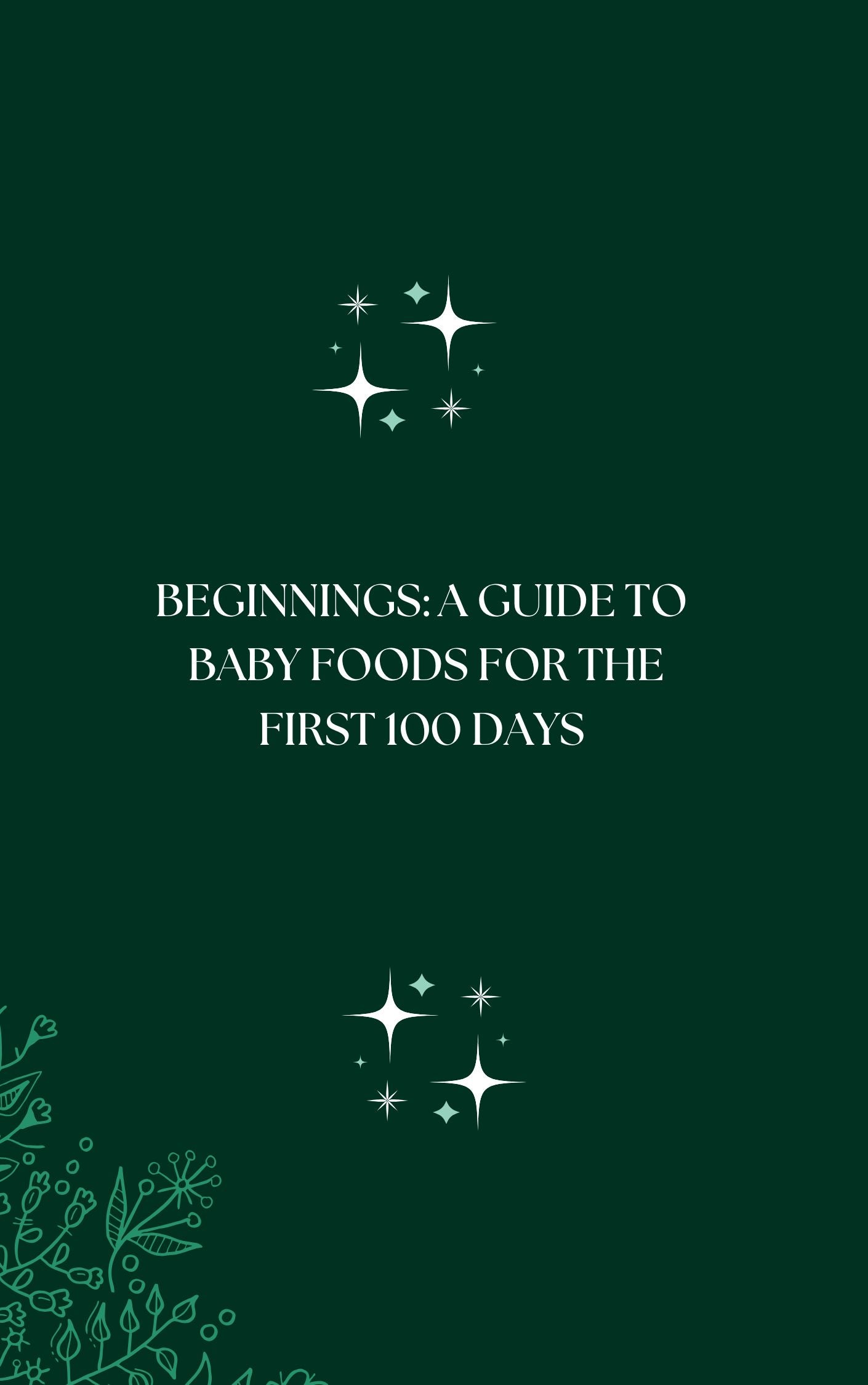 Beginnings: A Guide to Baby Foods for the First 100 days eBook
