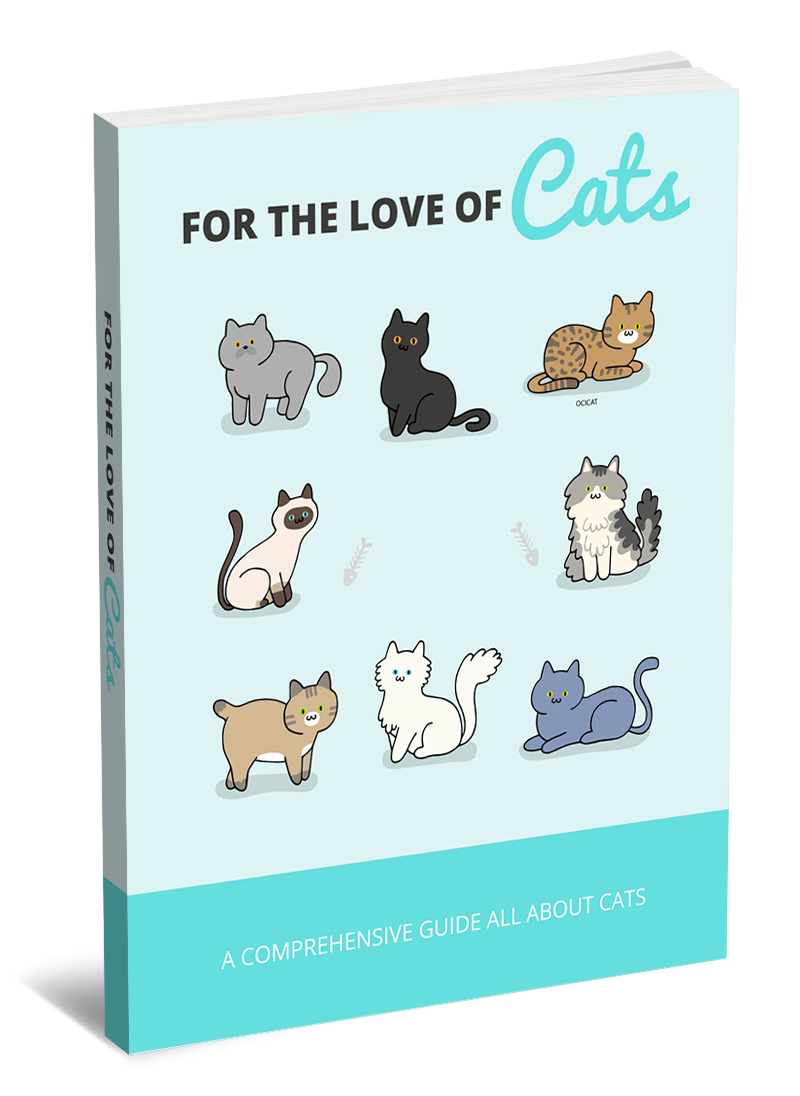 A***For The Love Of Cats