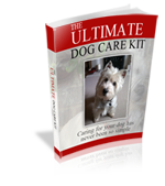 Did you know that nearly half of the dogs in the USA are overweight, with millions considered clinically obese?